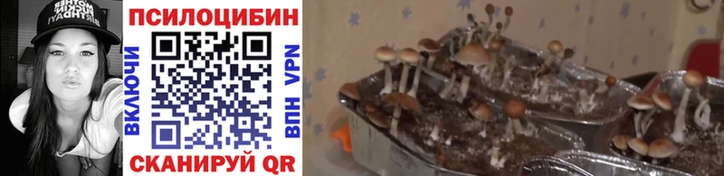 Псилоцибиновые грибы мухоморы  Клин 
